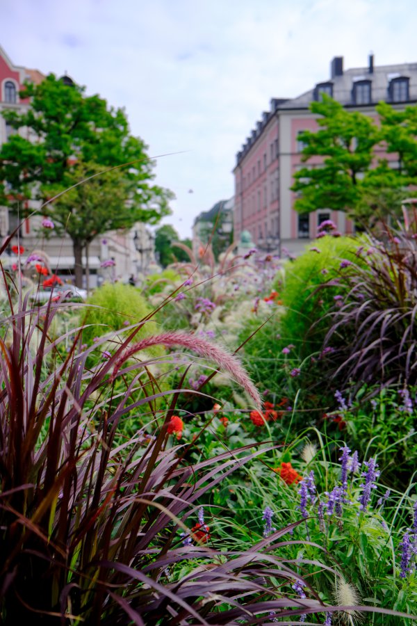 SQM Immobilien München News