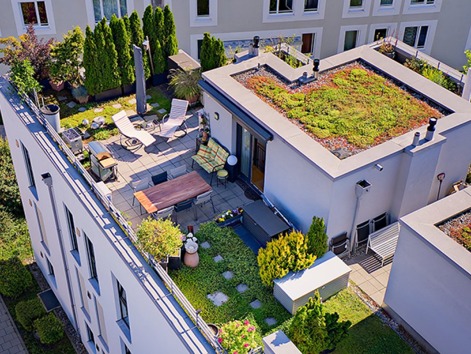 grüne Dachterrasse